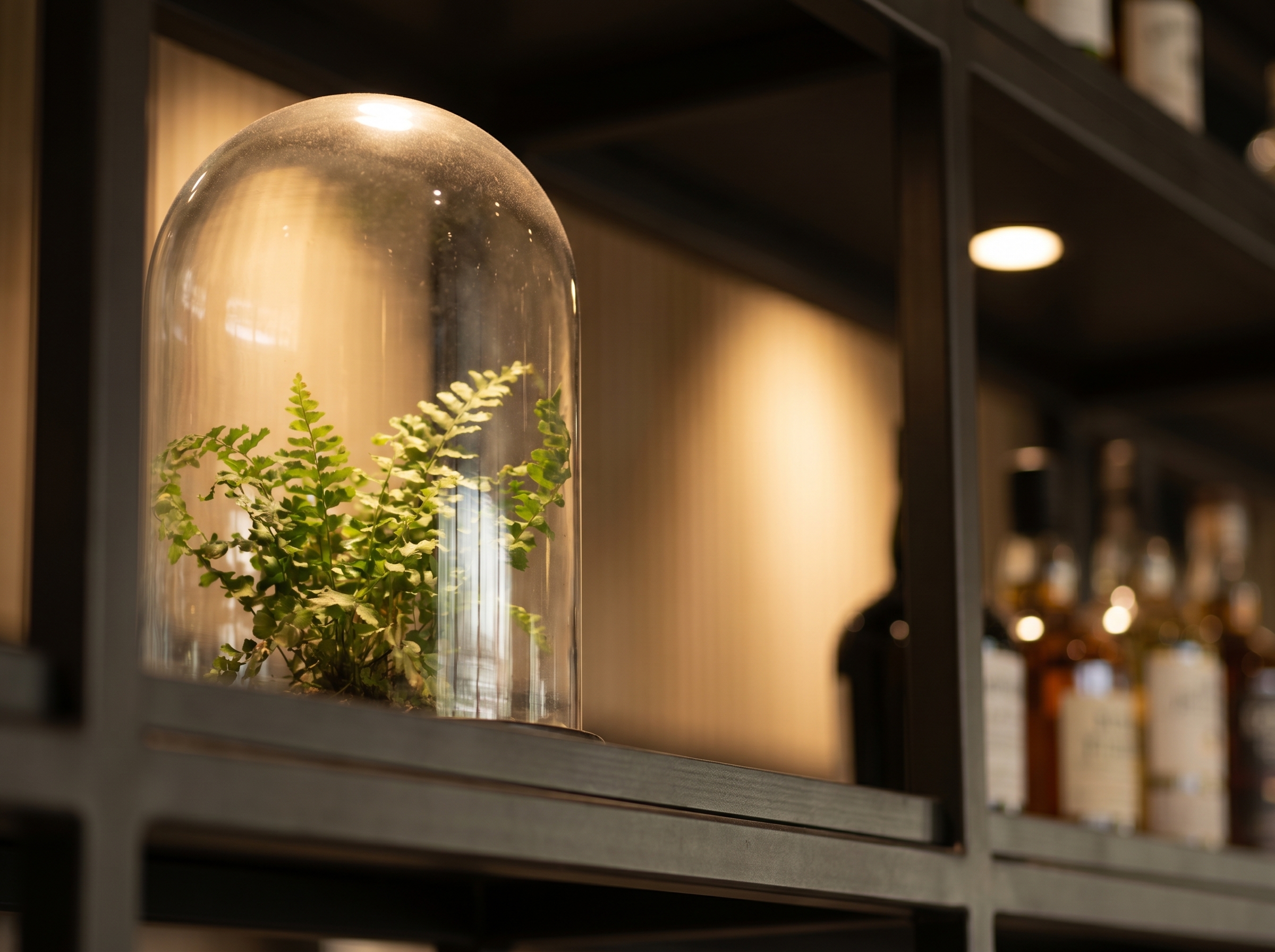 Shoma Bazaar · 5