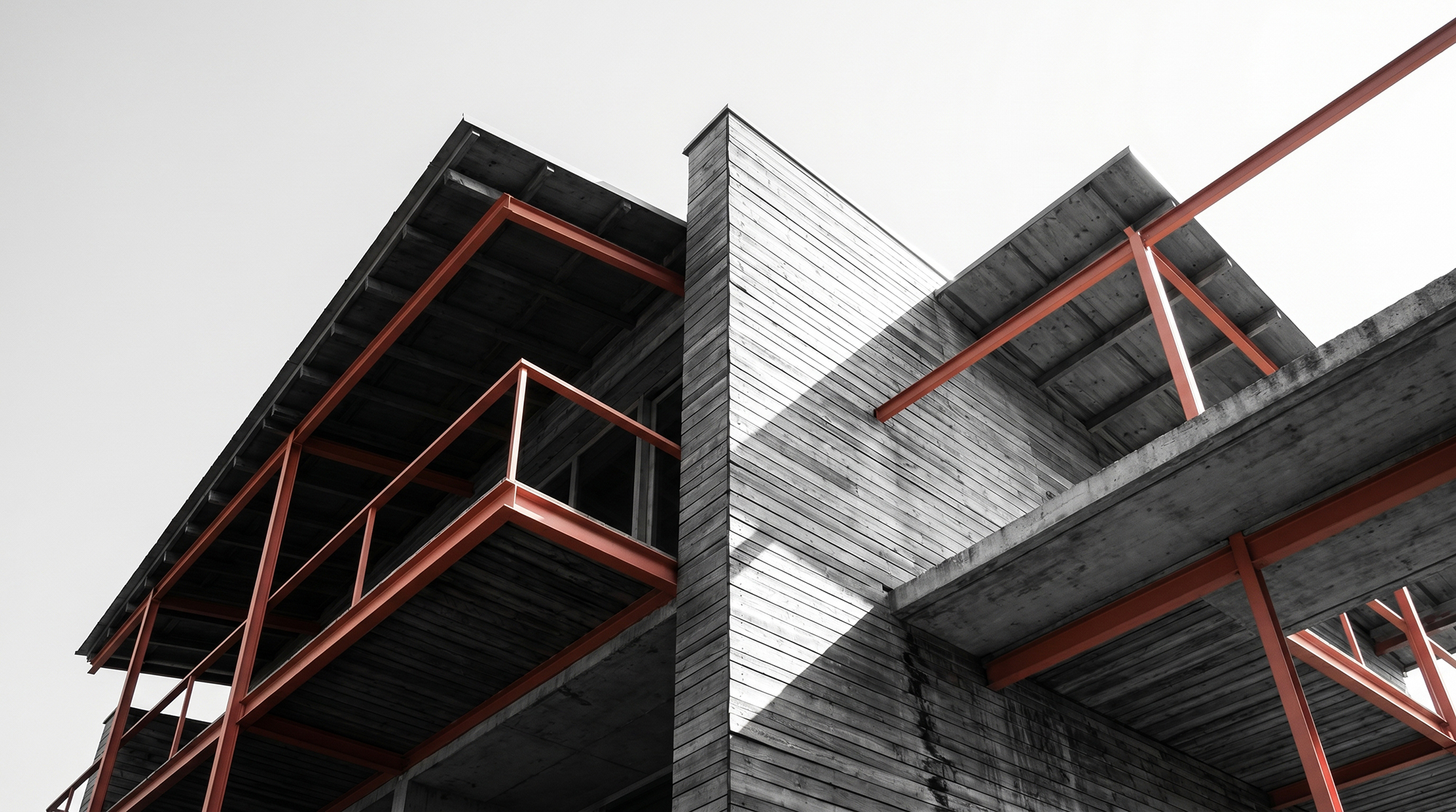 Vibio · 5